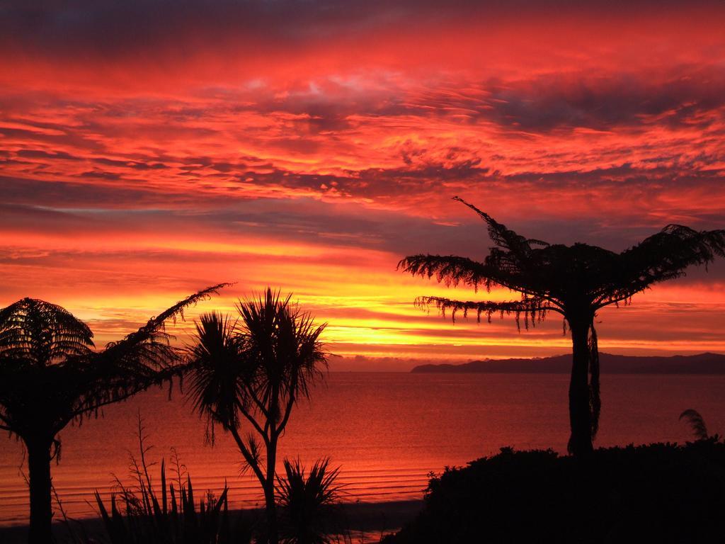 Adrift In Golden Bay- Absolute Beachfront Villas (Adults Only) Collingwood Room photo